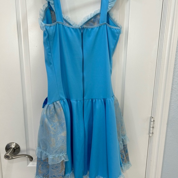 Cinderella Costume Dress- worn once - great condition! - Picture 4 of 9